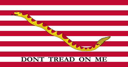 First Navy Jack Nylon Flag