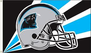 Carolina Panthers Polyester Flag