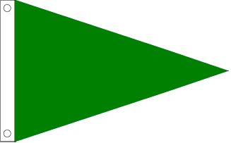 Solid Green Pennant