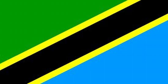 Tanzania Nylon Flag