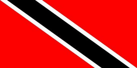 Trinidad and Tobago Nylon Flag