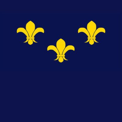Blue French Fleur-de-Lis Flag