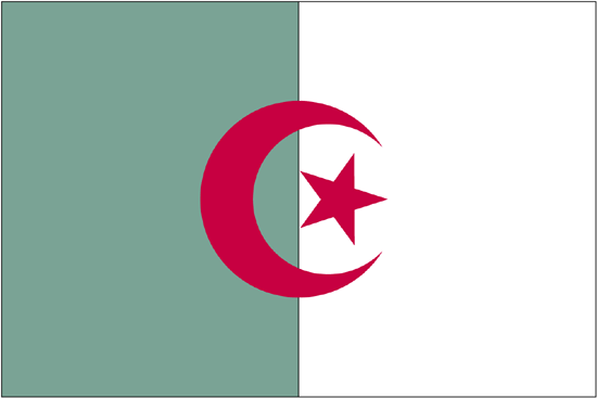 Algeria Govt. Nylon Flag