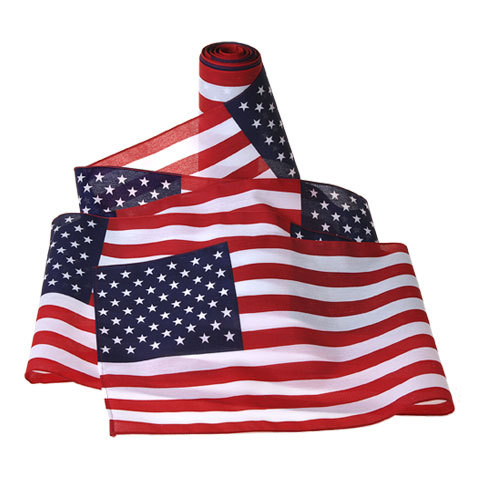 American Flag Bunting Package 25 Ft